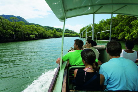 Martinique On Macrossan - Accommodation Daintree 28