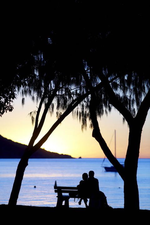 Maggies Beachfront Apartment 12 - Accommodation Daintree 3