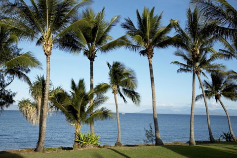 Pure Magnetic Villa 2 - Accommodation Daintree 1