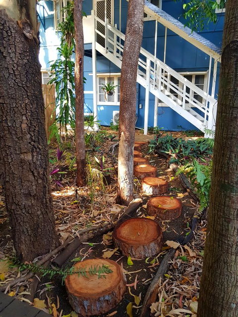 Arcadia Beach Guest House And Car Hire - Accommodation Daintree 40