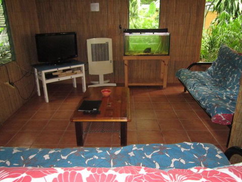 Arcadia Beach Guest House And Car Hire - Accommodation Daintree 3