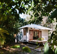 The Little Bush Hut - Accommodation Daintree