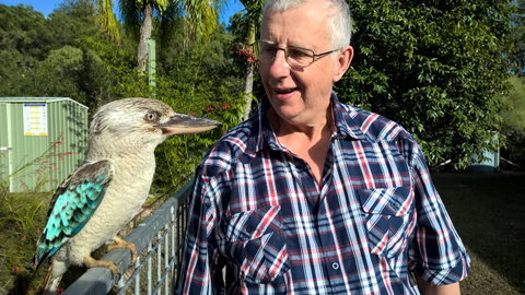 Magnetic Island Bed And Breakfast - Accommodation Daintree 33