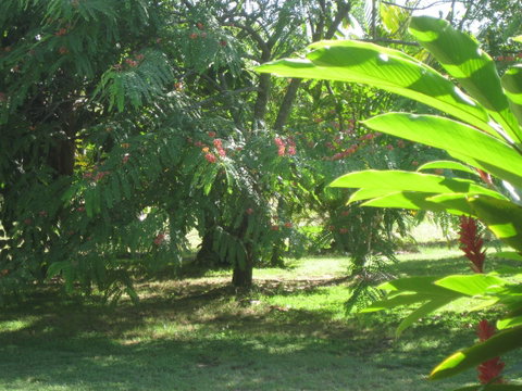 Magnetic Island Bed And Breakfast - Accommodation Daintree 36