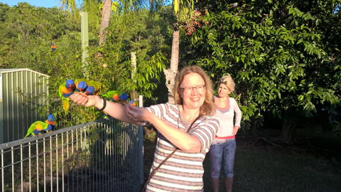 Magnetic Island Bed And Breakfast - Accommodation Daintree 16