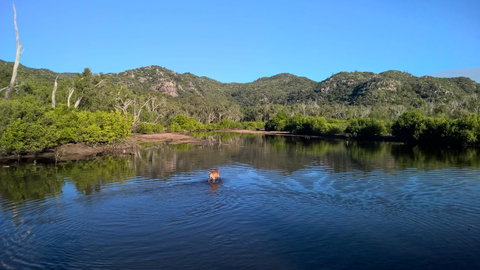 Magnetic Island Bed And Breakfast - Accommodation Daintree 8