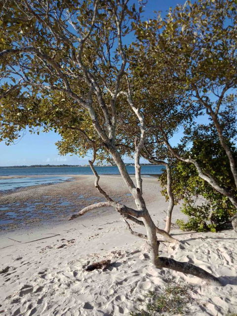 Modern Beach Villa - Accommodation Daintree 15
