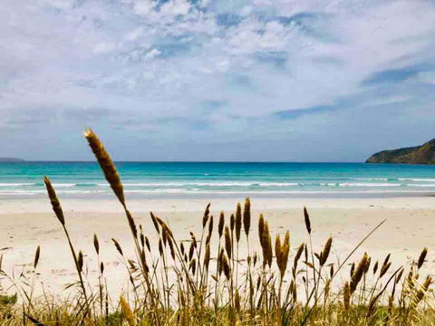 Modern Beach Villa - Accommodation Daintree 14