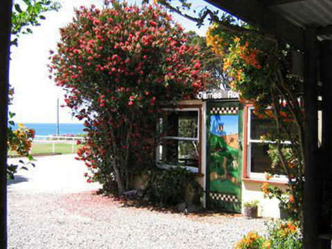 King Island Accommodation Cottages - Accommodation Daintree 11