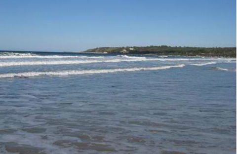 King Island Accommodation Cottages - Accommodation Daintree 18