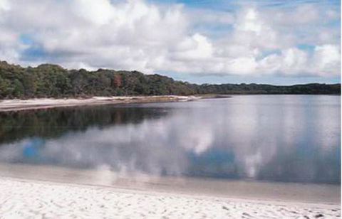 King Island Accommodation Cottages - Accommodation Daintree 17