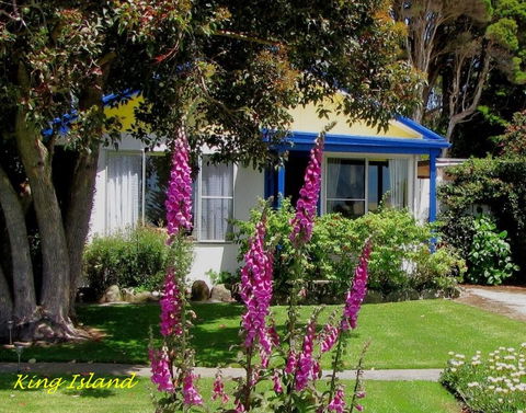 King Island Accommodation Cottages - Accommodation Daintree 2