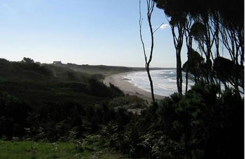 King Island Accommodation Cottages - Accommodation Daintree 19