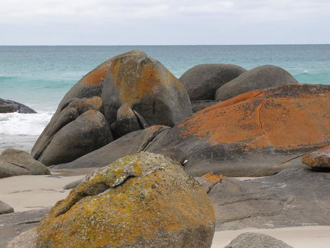 King Island Accommodation Cottages - Accommodation Daintree 40