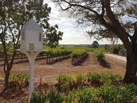 'In The Vines' Guest Cottage, Barossa Valley - Accommodation Daintree 0