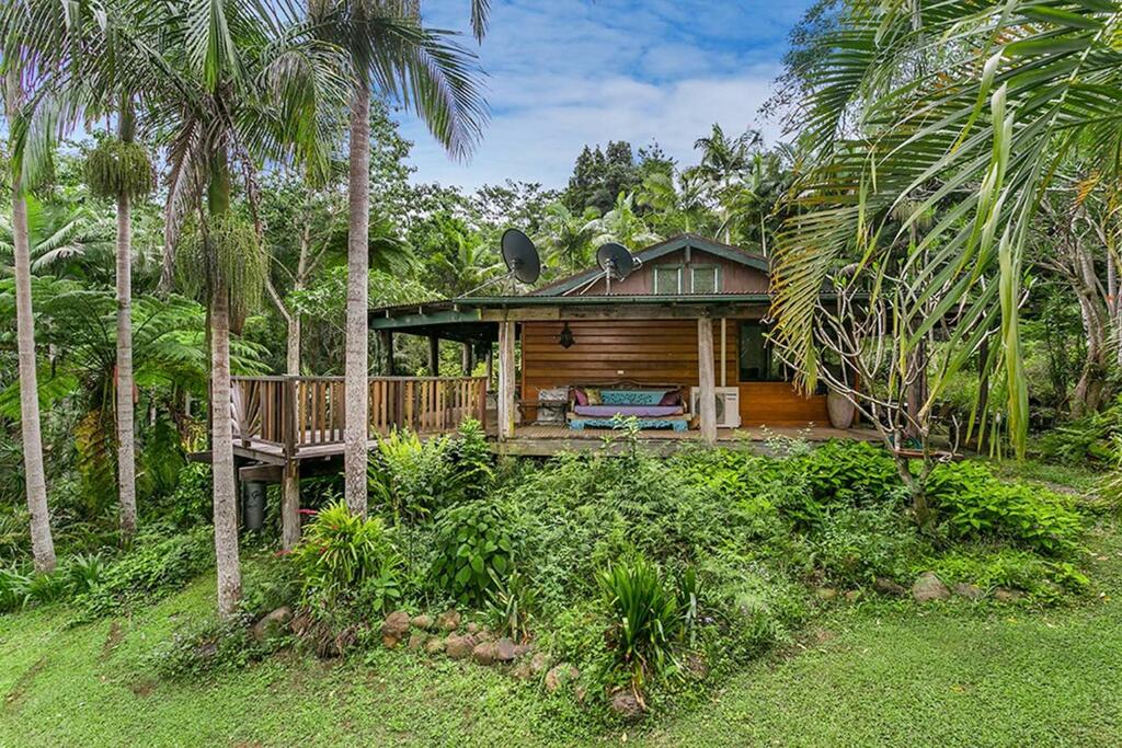  Accommodation Daintree