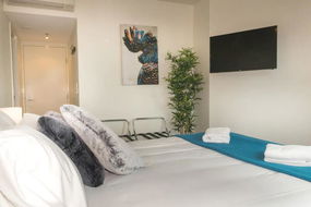 Book Brisbane Accommodation Accommodation Daintree Accommodation Daintree