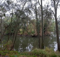 1 Private Single Room in Carramar 1-minute walk to Station - SHAREHOUSE - Accommodation Daintree