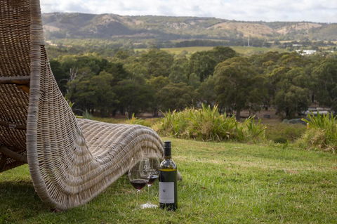131 Your Vineyard Home In The Heart Of The Vale - Accommodation Daintree 0