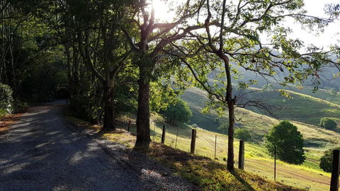 Dayboro Cottages - Accommodation Daintree 1