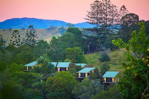 Dayboro Cottages - Accommodation Daintree 0