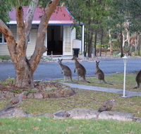 31 The Rocks - Accommodation Daintree