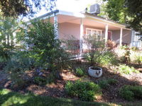 Book Irymple Accommodation Vacations Accommodation Daintree Accommodation Daintree