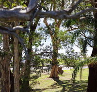 34 'Bay Parklands' 2 Gowrie Avenue - WIFI Views Pool Spa  Tennis Court - Accommodation Daintree