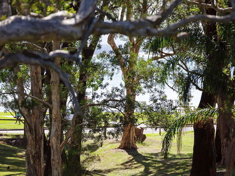 34 'Bay Parklands', 2 Gowrie Avenue - WIFI, Views, Pool, Spa & Tennis Court - Accommodation Daintree 0