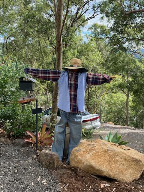 424 Trees - Accommodation Daintree 3