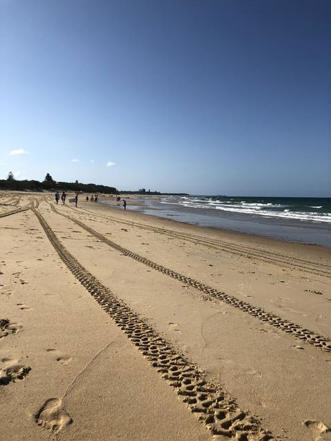 8 ON ELYSEE Alexandra Headland / Mooloolaba Beach - Accommodation Daintree 2