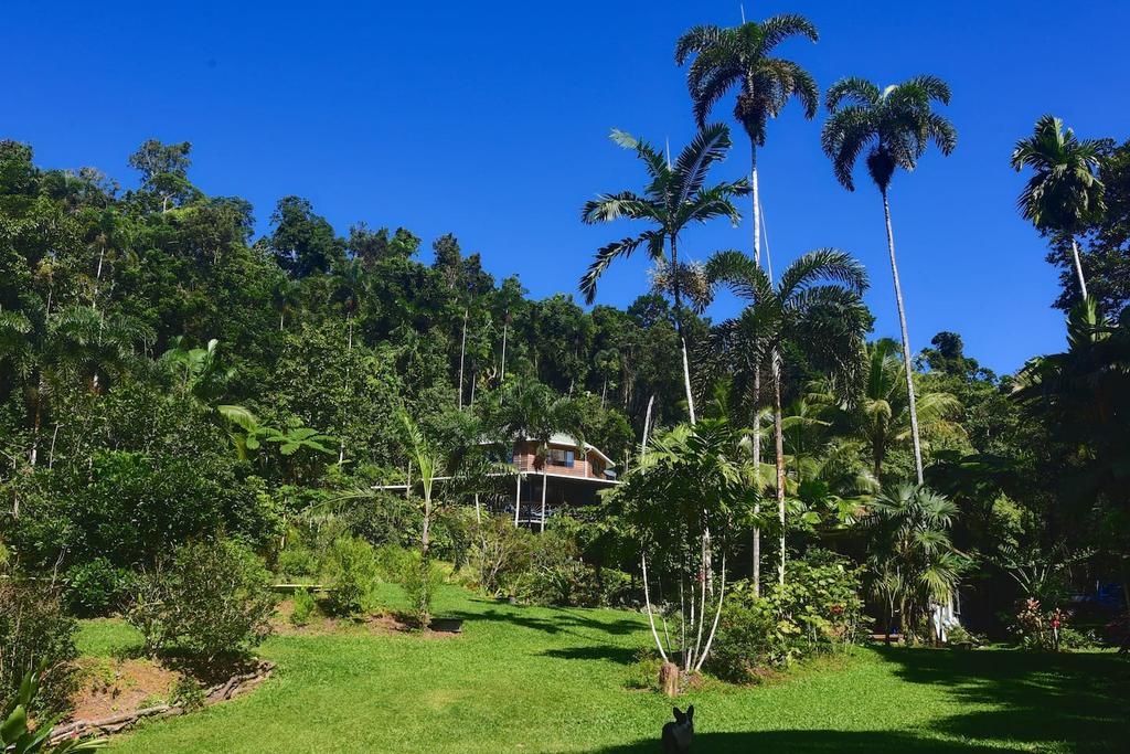 Diwan QLD Accommodation Daintree