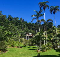 A Daintree Garden - Accommodation Daintree