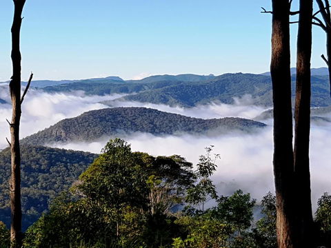 Aaronlee Retreat - Accommodation Daintree 3