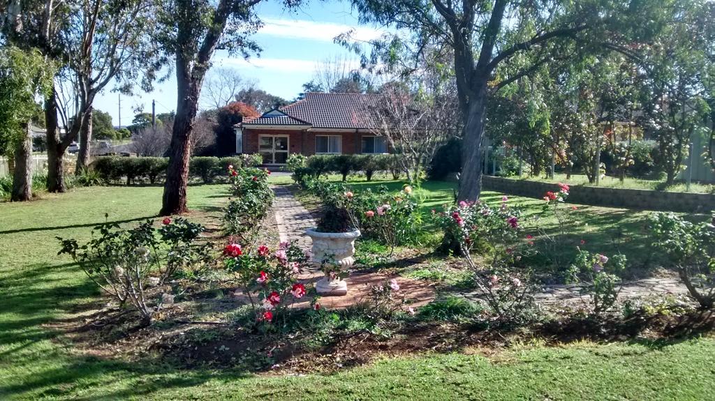 Aberdeen NSW Accommodation Daintree