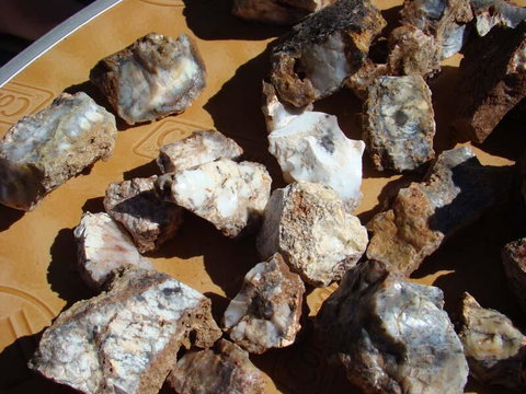 Acclaim Gateway Tourist Park - Accommodation Daintree 1