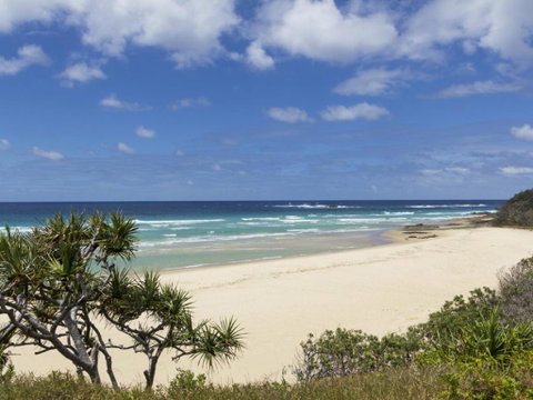 Acutterbove - Accommodation Daintree 3