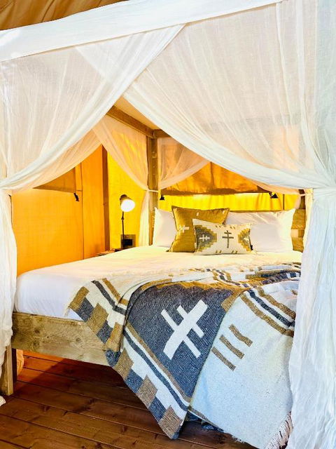 Esk Luxury Glamping Tents - Accommodation Daintree 4