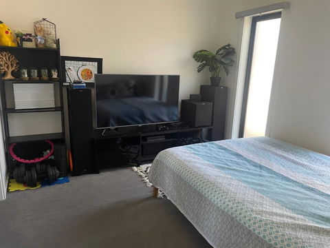 Funstay - Accommodation Daintree 3