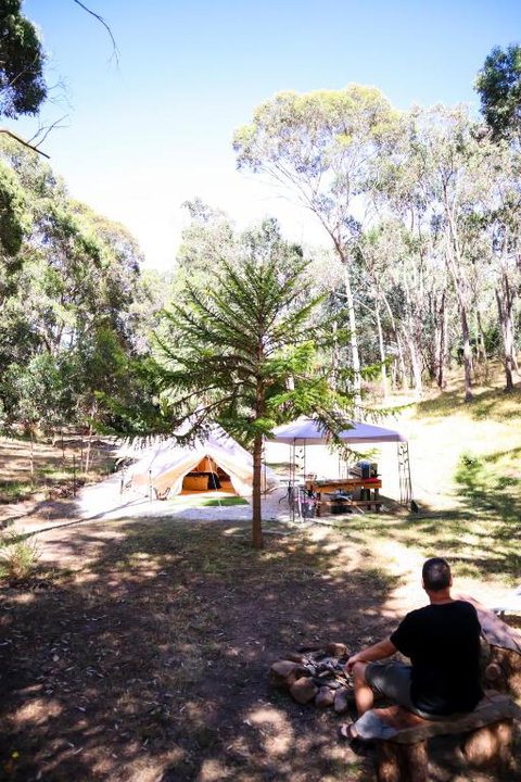 Golden Point Glamping - Accommodation Daintree 4