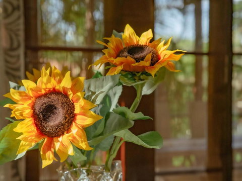 Great Value 3BD House At A Convenient Location - Accommodation Daintree 3