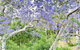 Green View Retreat Only 7 Minutes To Terrigal Beach - thumb 3