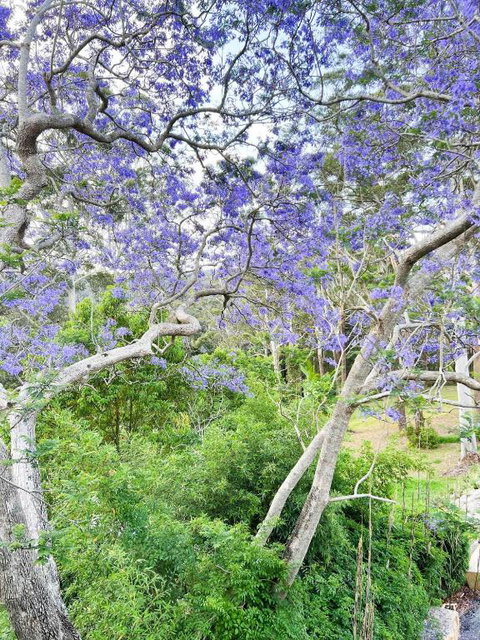 Green View Retreat Only 7 Minutes To Terrigal Beach - Accommodation Daintree 3