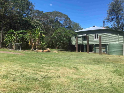 Harris Cottage - Accommodation Daintree 1