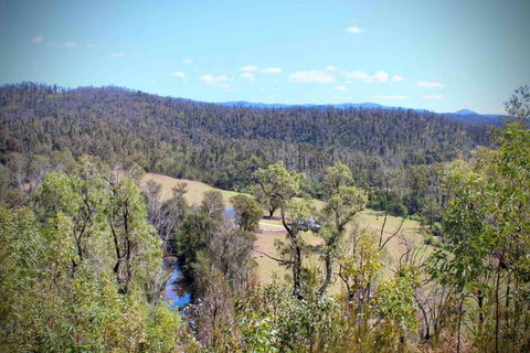 Hilltop House, Truly Unwind - Accommodation Daintree 1