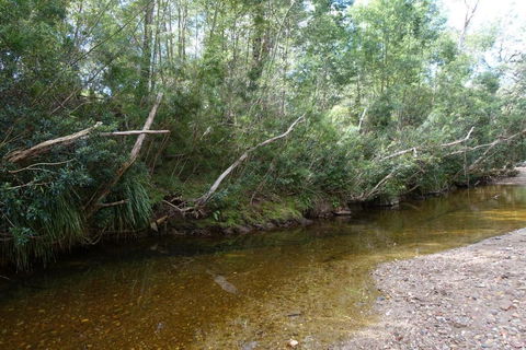 Hilltop House, Truly Unwind - Accommodation Daintree 3