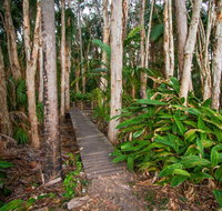 Agnes Palms Accommodation - Accommodation Daintree