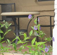 Amalie Cottage Waikerie - Accommodation Daintree