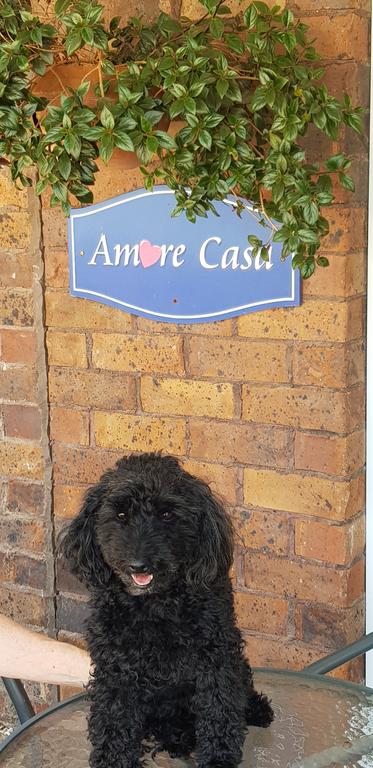 Amore Casa Tenterfield - Accommodation Daintree 2