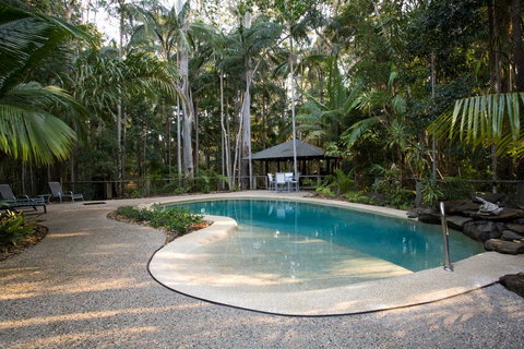 Amore On Buderim Rainforest Cabins - Accommodation Daintree 0